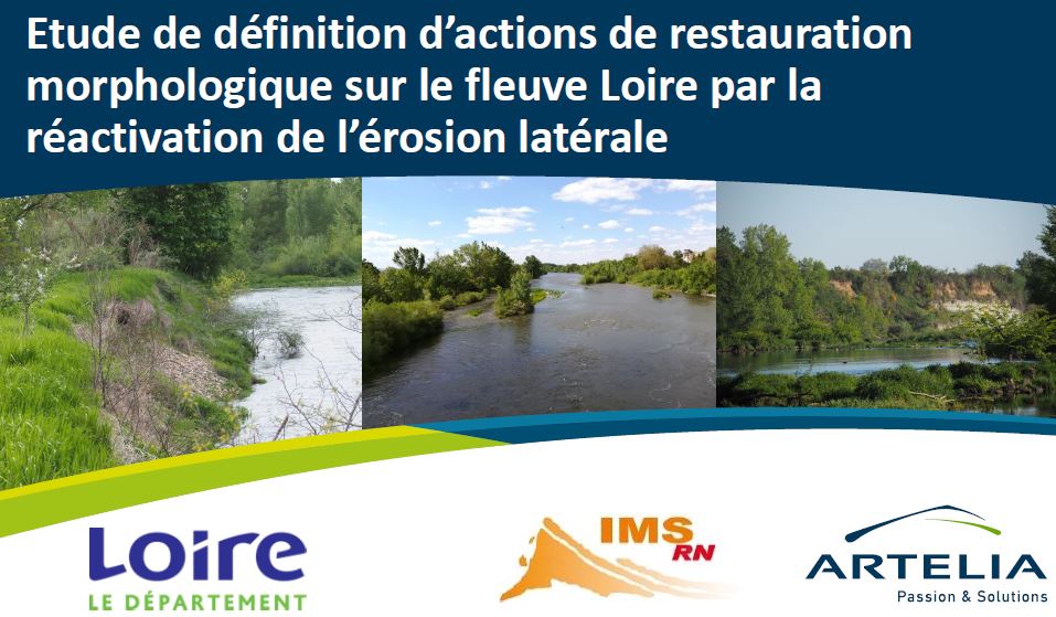 Réactivation de l’érosion latérale dans la Loire Forézienne